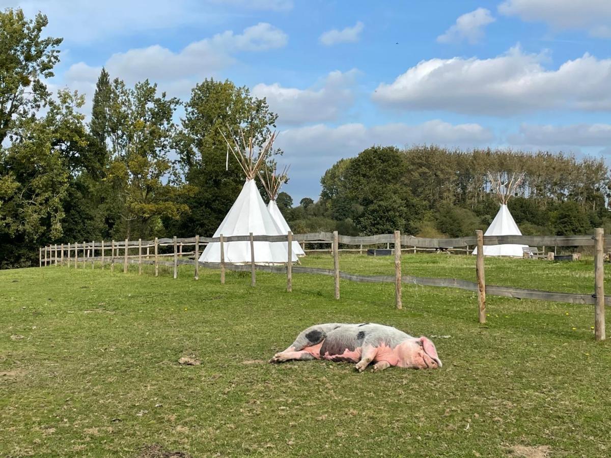 Terra-Tipike, Tipi A La Ferme Entre Terre Et Mer Trébry Exterior foto